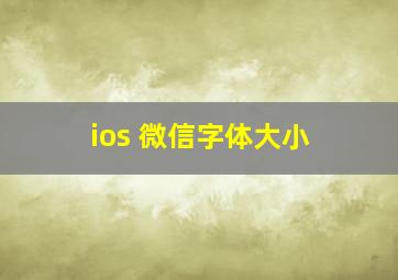 ios 微信字体大小